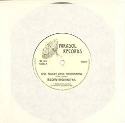 The Blow Monkeys : Live Today Love Tomorrow